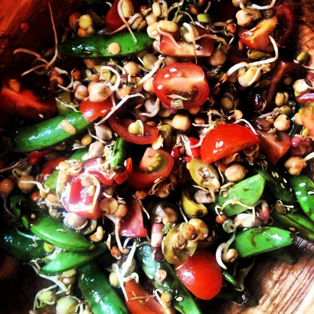 sprouting chickpea salad